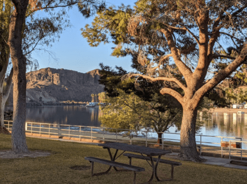 A serene lakeside view with trees, a picnic table, and mountains in the background under a clear blue sky.