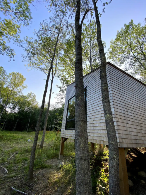 A modern wooden cabin on stilts surrounded by trees in a sunny forest setting.