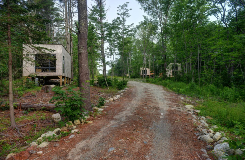 A gravel path winds through a lush forest, with modern cabins nestled among the trees.
