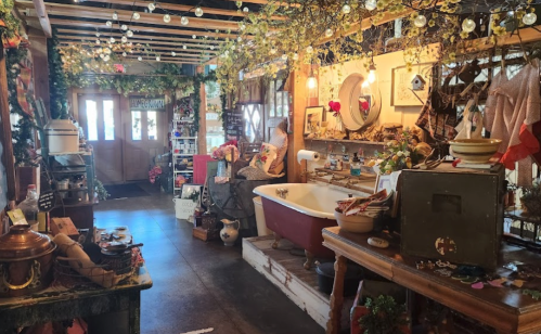 A cozy vintage shop filled with eclectic decor, plants, and a clawfoot bathtub, illuminated by string lights.