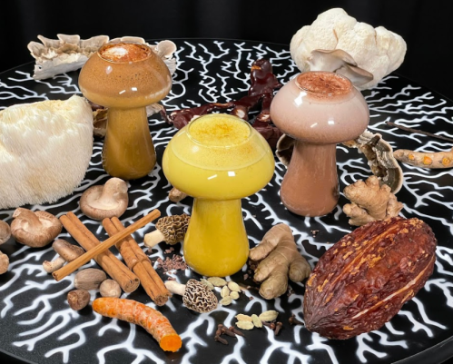 Three mushroom-shaped drinks in glass, surrounded by various mushrooms, spices, and cocoa on a patterned surface.