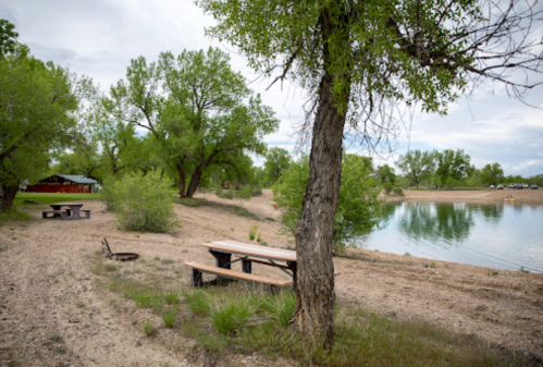 A serene lakeside scene with picnic tables, trees, and a sandy shore under a cloudy sky.