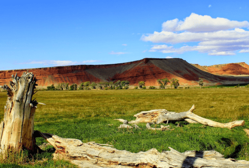 A scenic landscape featuring red rock formations, green grass, and weathered tree stumps under a blue sky with clouds.