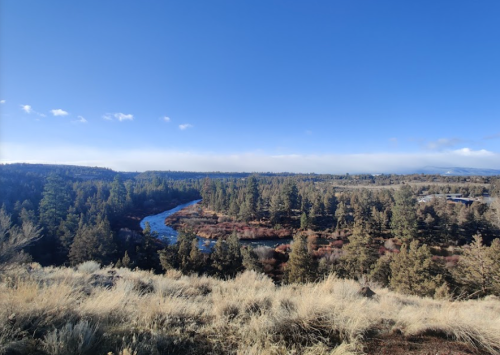 A scenic view of a river winding through a forested landscape under a clear blue sky.