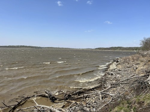 A view of a choppy river with brown water, surrounded by a shoreline of driftwood and sparse vegetation under a blue sky.