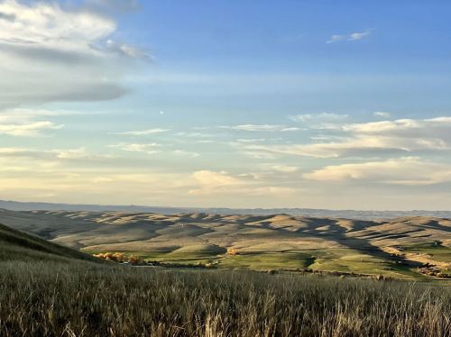 A scenic view of rolling hills under a blue sky with scattered clouds, showcasing green and golden fields.