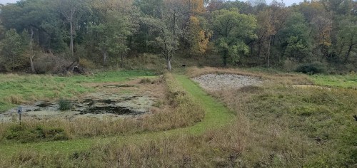 A serene landscape featuring a grassy path between two ponds, surrounded by trees and autumn foliage.