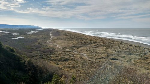 A panoramic view of a coastal landscape with sandy shores, gentle waves, and lush greenery under a clear sky.