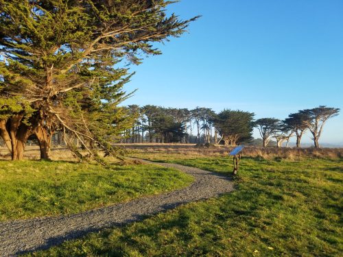 A winding gravel path through a grassy area with trees under a clear blue sky.