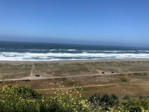 A scenic view of a beach with waves, grassy dunes, and a clear blue sky, featuring a road and a few cars in the distance.