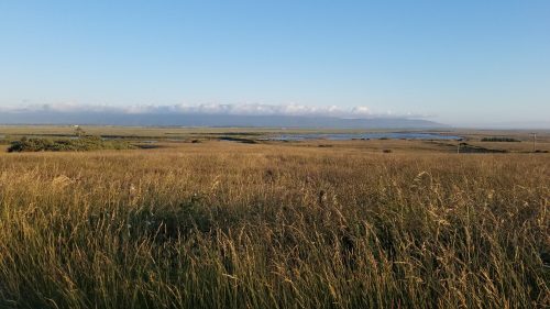 A wide view of a grassy landscape with a calm water body and distant mountains under a clear blue sky.