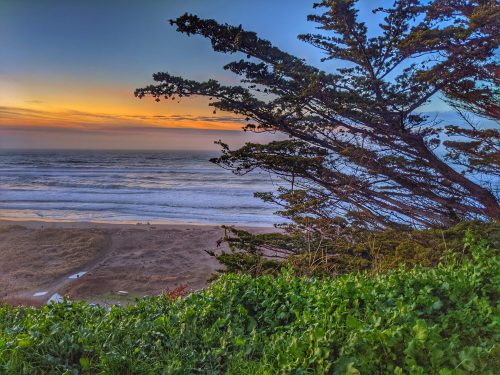A coastal scene at sunset, featuring waves, a sandy beach, and a silhouette of a tree in the foreground.