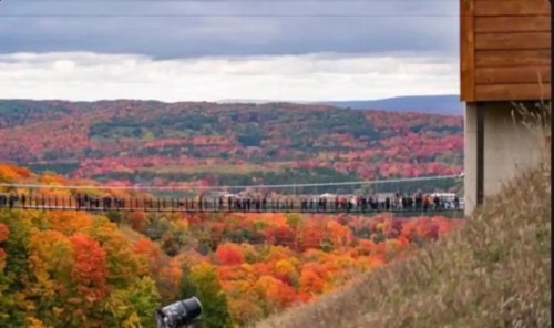 A crowd walks across a suspension bridge surrounded by vibrant autumn foliage in a scenic landscape.