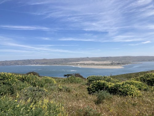 A scenic view of a coastal landscape with green hills, a sandy beach, and a calm blue ocean under a clear sky.