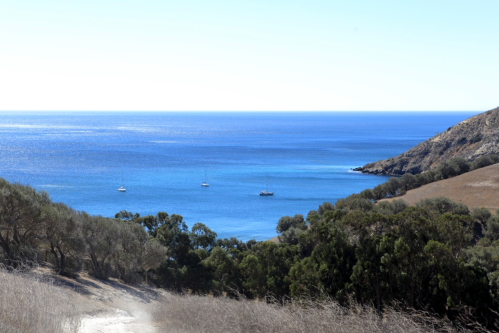 A serene coastal view with calm blue waters, sailboats, and rolling hills under a clear sky.