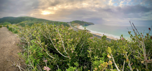 A panoramic view of a coastal landscape with lush greenery, a winding road, and a beach under a cloudy sky.