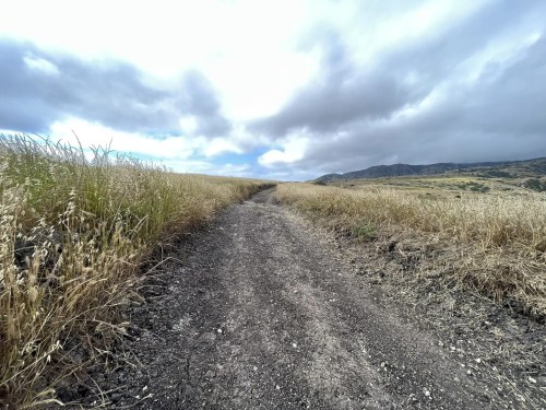 A dirt path stretches through a grassy field under a cloudy sky, leading towards distant hills.