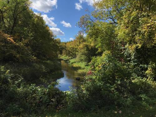 A serene river flows through a lush, green landscape under a blue sky with fluffy clouds.