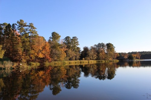 A serene lake surrounded by trees with autumn foliage, reflecting the clear blue sky and colorful leaves.