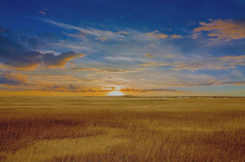 A vast golden field under a dramatic sky at sunset, with clouds illuminated by warm hues.