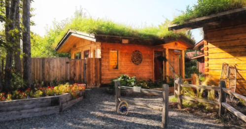 A rustic wooden cabin with a grassy roof, surrounded by a garden and wooden fence in a sunny outdoor setting.