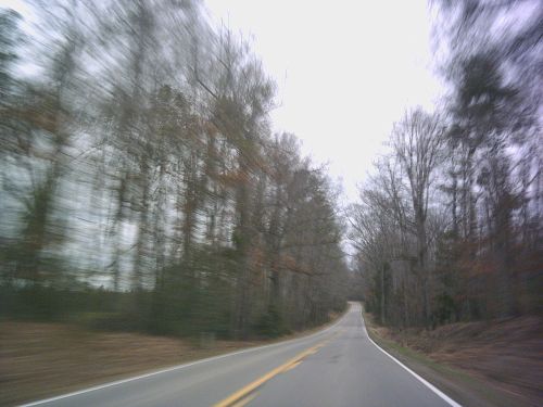 A blurred view of a winding road surrounded by bare trees on a cloudy day.