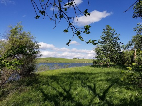 A serene landscape featuring a lake surrounded by green grass, trees, and a blue sky with fluffy clouds.