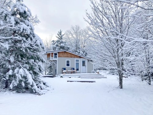 A cozy cabin surrounded by snow-covered trees, with a snowy pathway leading to the entrance.