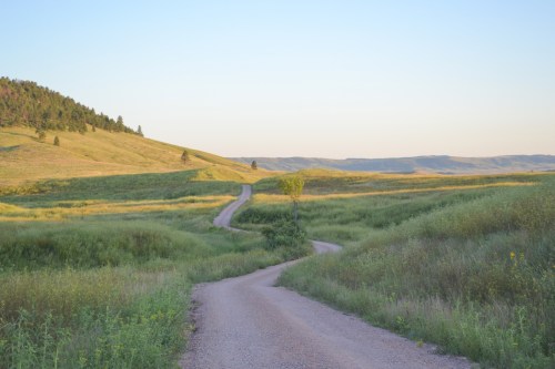 A winding dirt road through lush green hills under a clear blue sky.