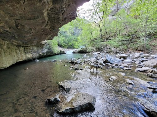 A serene river flows through a rocky landscape, surrounded by lush greenery and a large overhanging rock formation.