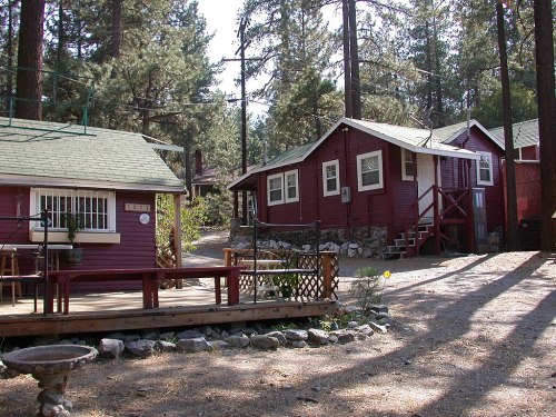 Two rustic cabins surrounded by tall trees, with a wooden deck and gravel path leading through a serene forest setting.