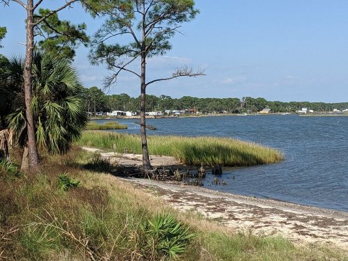 A serene coastal scene featuring a sandy shore, tall grasses, and trees along a calm waterway under a clear blue sky.