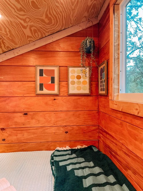 Cozy wooden interior with framed art on the wall, a hanging plant, and a bed with a green blanket.