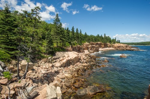 Rocky shoreline with lush green trees and a clear blue sky, overlooking calm waters.