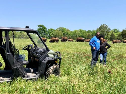 A couple stands in a grassy field with bison grazing in the background, next to an off-road vehicle.