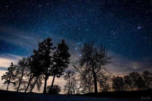 Silhouetted trees against a starry night sky with scattered clouds and a hint of twilight.