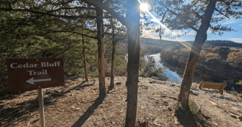 A scenic view of Cedar Bluff Trail sign with a river and trees in the background, illuminated by sunlight.
