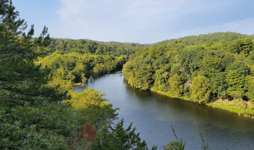A serene river winding through lush green trees under a clear blue sky.