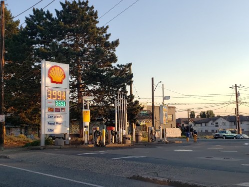 A Shell gas station with fuel prices displayed, surrounded by trees and power lines, during sunset.