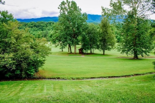 A lush green landscape with trees, a small building, and a stream, set against a backdrop of distant mountains.