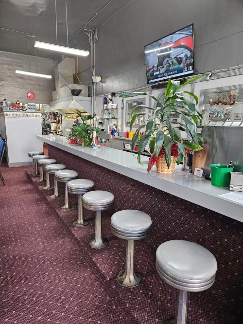 A retro diner interior featuring a long counter with silver stools and a TV, surrounded by plants and decor.