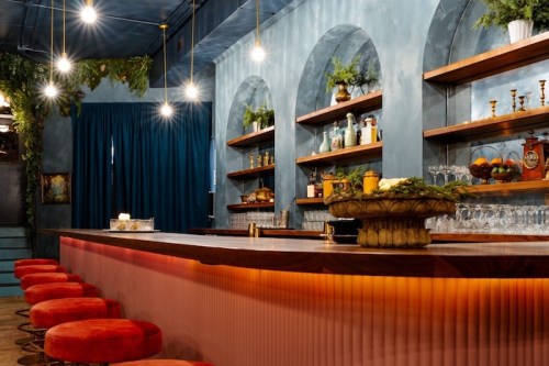 A stylish bar with a wooden counter, red stools, and shelves adorned with plants and decorative items under soft lighting.