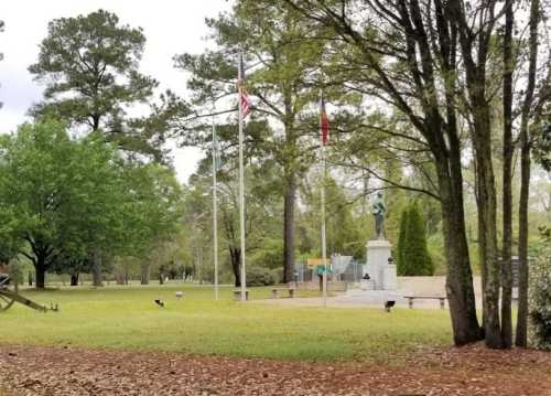 A park scene featuring trees, flags, and a statue in the background, with birds on the ground.