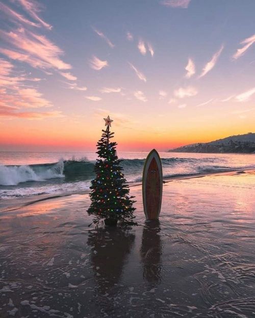 A decorated Christmas tree and a surfboard on a beach at sunset, with gentle waves and colorful clouds in the sky.