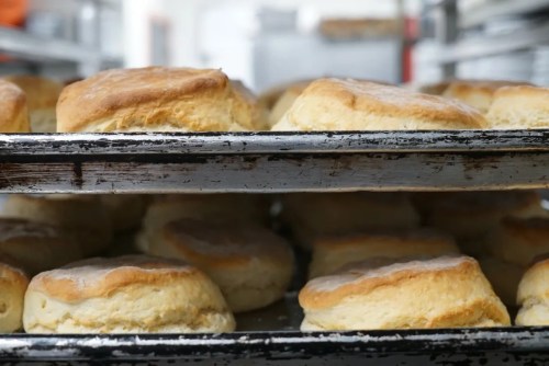 Freshly baked biscuits on trays, stacked in a bakery setting.