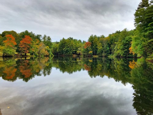 A serene lake surrounded by trees displaying autumn colors, reflecting the cloudy sky and vibrant foliage.