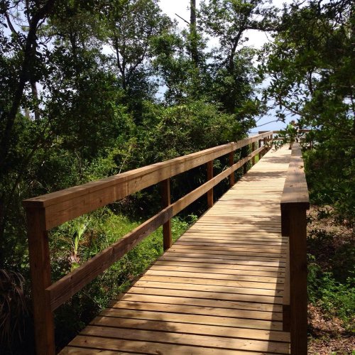 A wooden boardwalk leads through lush greenery towards a distant view of water.