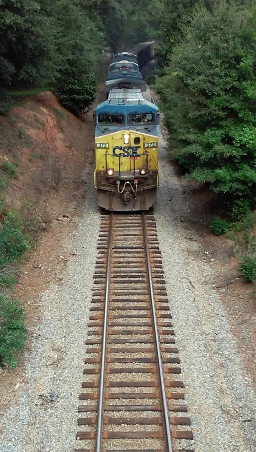A CSX freight train travels along a tree-lined track, surrounded by greenery.