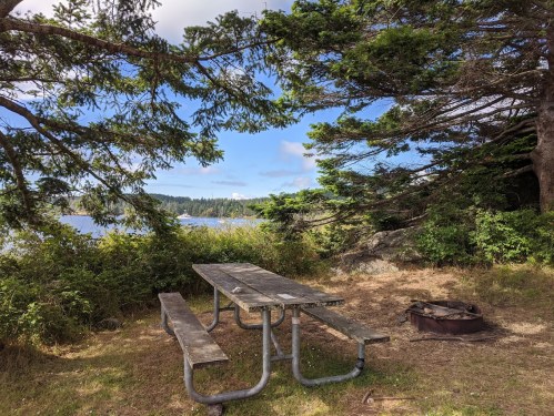 A picnic table under trees by a lake, with a fire pit nearby and a scenic view of the water and distant land.
