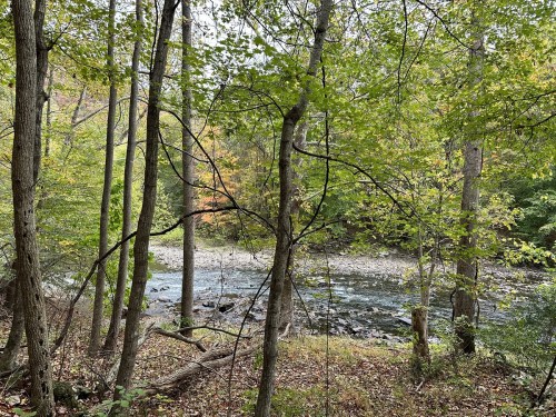 A serene river flows through a forest, surrounded by trees with green and autumn-colored leaves.